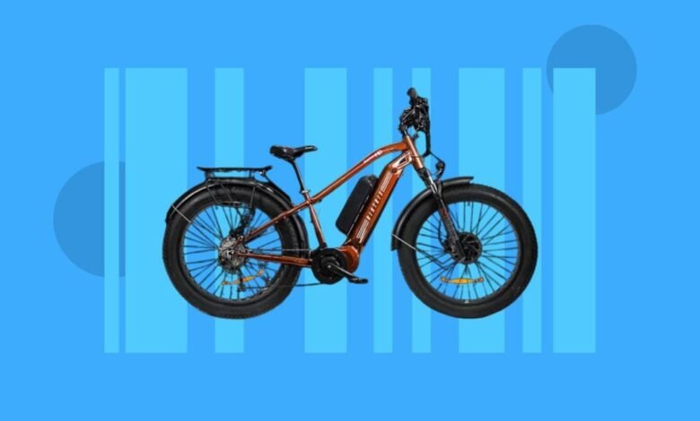 Best Deals on E-Bikes: Save Hundreds on Top Brands Like BirdBike, RadPower and More