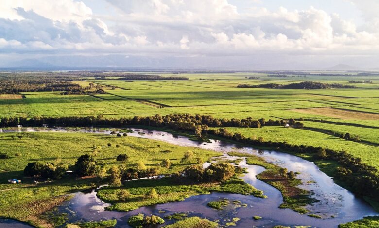 Flooding Wetlands Could Be the Next Big Carbon Capture Hack