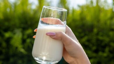 FDA Update on Bird Flu Traces in Milk: What to Know About Pasteurized and Raw Milk
