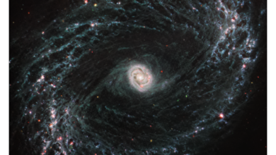 Monster galactic outflow powered by exploding stars