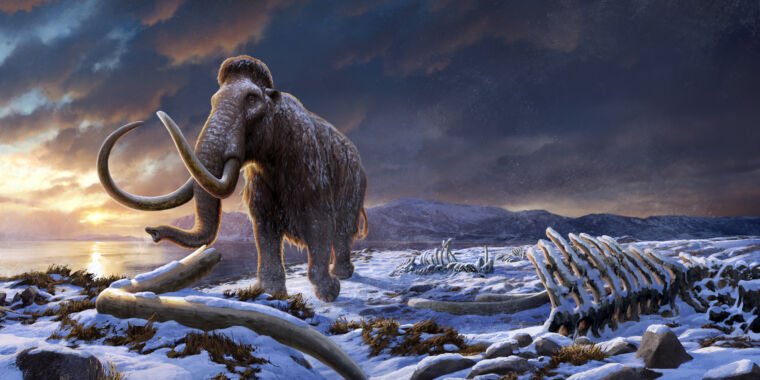 Last population of mammoths survived a severe population bottleneck
