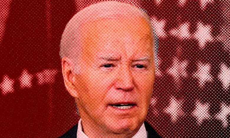 How the Biden Administration Is (Not Really) Handling Disinformation