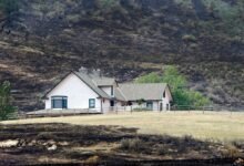 How to Save Your Home From a Wildfire