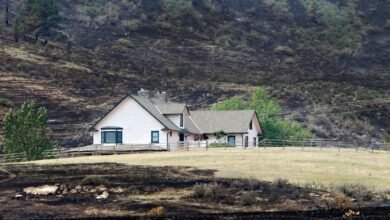 How to Save Your Home From a Wildfire