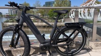 Gazelle Eclipse C380+ e-bike review: A smart, smooth ride at a halting price
