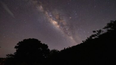 Here’s How to Marvel at the Milky Way Without a Telescope Until July 13