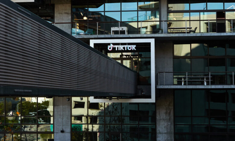 TikTok, Facing a US Ban, Is Also Waging Legal Battles Around the World TikTok, Facing a US Ban, Is Also Waging Legal Battles Around the World