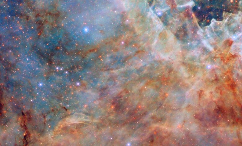 NASA and ESA share a breathtaking Hubble image of the Tarantula Nebula’s outer edge NASA and ESA share a breathtaking Hubble image of the Tarantula Nebula’s outer edge