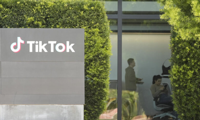 Trump delays TikTok ban for at least 75 days via executive order Trump delays TikTok ban for at least 75 days via executive order