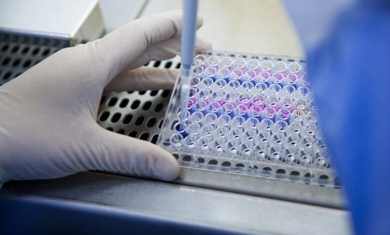 Bogus research is undermining good science, slowing lifesaving research