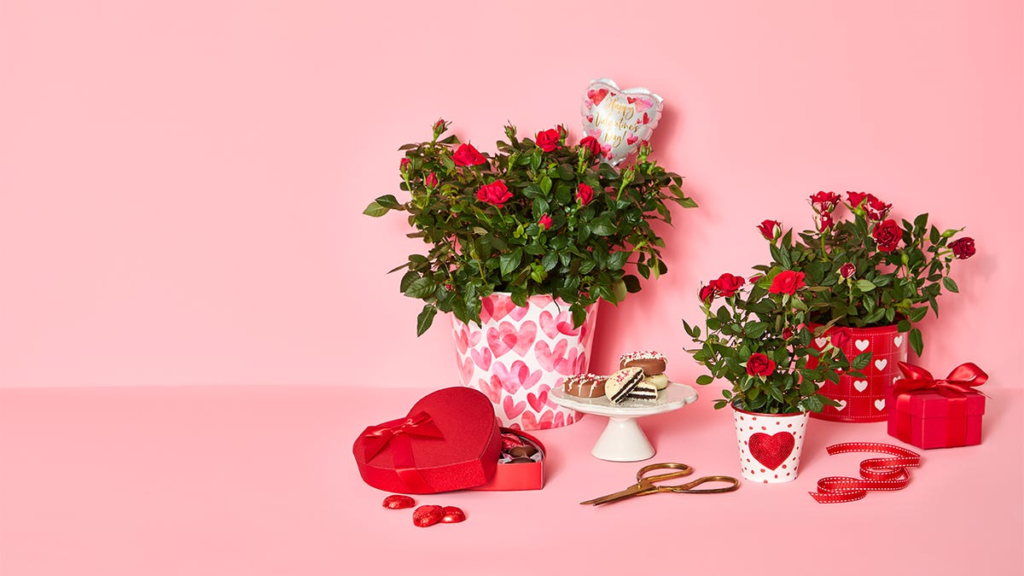 10 Unique Valentine’s Day Gifts from 1-800-Flowers for Everyone You Love