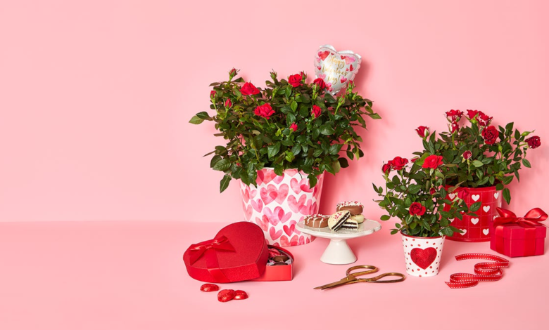 10 Unique Valentine’s Day Gifts from 1-800-Flowers for Everyone You Love 10 Unique Valentine’s Day Gifts from 1-800-Flowers for Everyone You Love