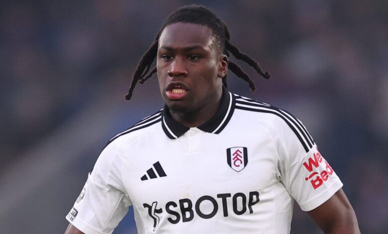 Premier League Soccer: Livestream Fulham vs. Crystal Palace From Anywhere Premier League Soccer: Livestream Fulham vs. Crystal Palace From Anywhere