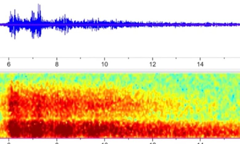 From 900 miles away, the US government recorded audio of the Titan sub implosion From 900 miles away, the US government recorded audio of the Titan sub implosion