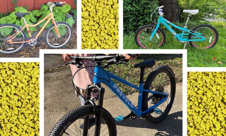 7 Best Kids Bikes (2025): Mountain, Balance, Pedal, Coaster 7 Best Kids Bikes (2025): Mountain, Balance, Pedal, Coaster