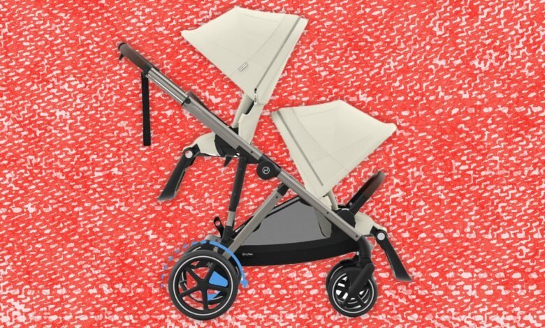 11 Best Strollers for Almost Every Budget and Need (2025) 11 Best Strollers for Almost Every Budget and Need (2025)