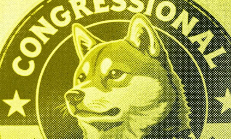 DOGE Is Doing the Opposite of Government Auditing DOGE Is Doing the Opposite of Government Auditing