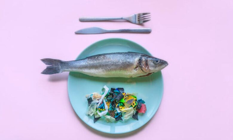 Are You Consuming Microplastics? 10 Foods Secretly Hiding Them Are You Consuming Microplastics? 10 Foods Secretly Hiding Them