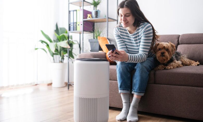 What’s Better for Allergies: A Humidifier or an Air Purifier? What’s Better for Allergies: A Humidifier or an Air Purifier?