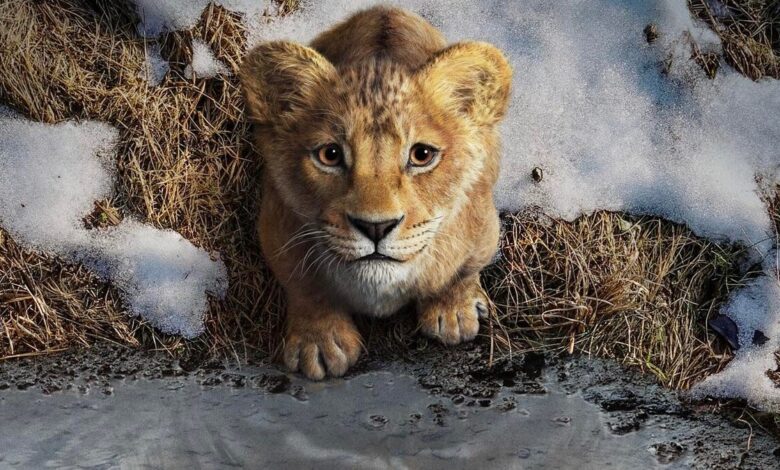 ‘Mufasa: The Lion King’ Streaming on Disney Plus: Release Date and Time ‘Mufasa: The Lion King’ Streaming on Disney Plus: Release Date and Time