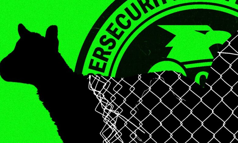 ‘People Are Scared’: Inside CISA as It Reels From Trump’s Purge ‘People Are Scared’: Inside CISA as It Reels From Trump’s Purge
