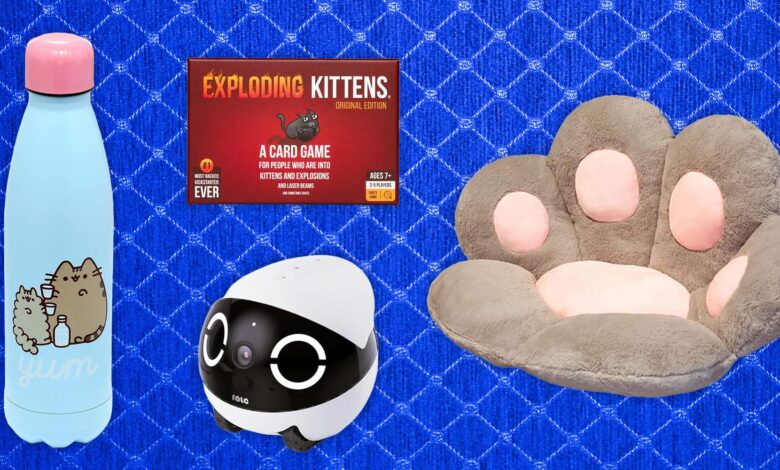 26 Best Gifts for Cat Lovers (2025) 26 Best Gifts for Cat Lovers (2025)