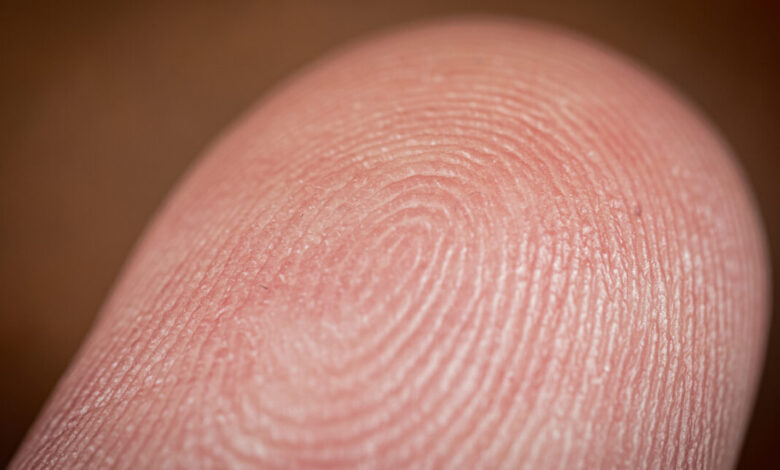 We have reached the “severed fingers and abductions” stage of the crypto revolution We have reached the “severed fingers and abductions” stage of the crypto revolution