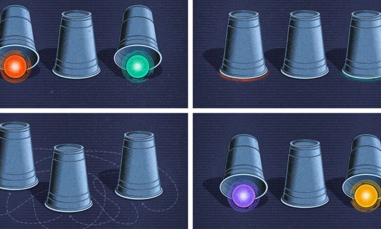 The Quest to Prove the Existence of a New Type of Quantum Particle The Quest to Prove the Existence of a New Type of Quantum Particle