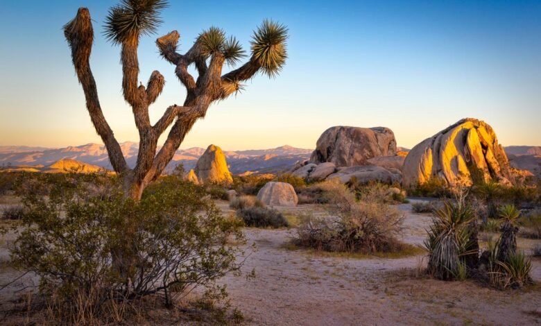 TikTok’s Raunchy Love Letter to the National Parks Might Actually Save Them TikTok’s Raunchy Love Letter to the National Parks Might Actually Save Them