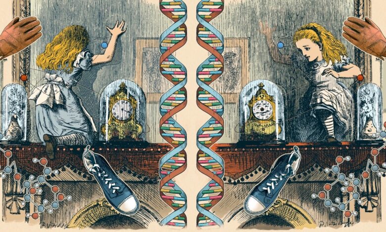 How the Universe and Its Mirrored Version Are Different How the Universe and Its Mirrored Version Are Different