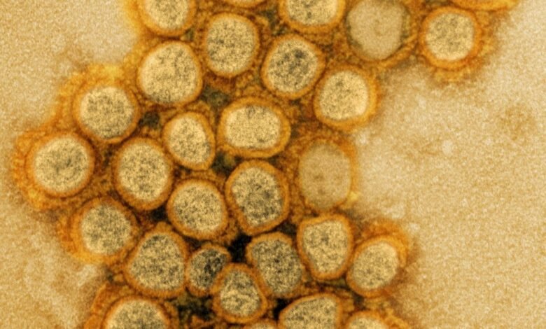 New COVID variant swiftly gains ground in US; concern looms for summer wave New COVID variant swiftly gains ground in US; concern looms for summer wave