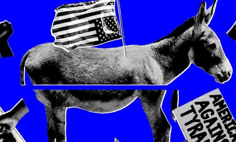 How Democrats Are Meeting (and Missing) the Moment How Democrats Are Meeting (and Missing) the Moment