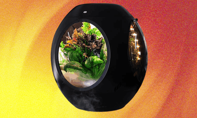 Plantaform Smart Indoor Garden Review: Rewarding but Risky Plantaform Smart Indoor Garden Review: Rewarding but Risky