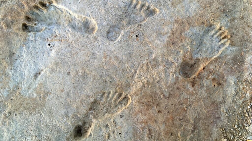 New dating for White Sands footprints confirms controversial theory