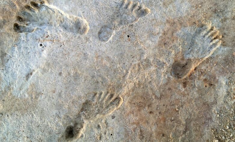 New dating for White Sands footprints confirms controversial theory New dating for White Sands footprints confirms controversial theory