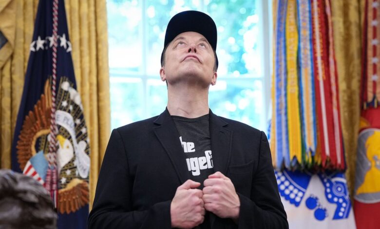 ‘100% Stupid’: MAGA World Is Cautiously Turning on Elon Musk ‘100% Stupid’: MAGA World Is Cautiously Turning on Elon Musk