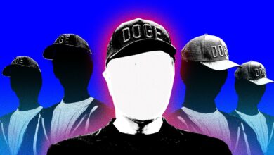 This Is DOGE 2.0 | WIRED