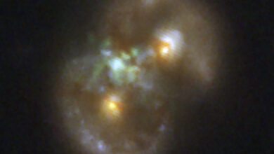 Webb spots ‘Infinity Galaxy’ that sheds light on black hole formation