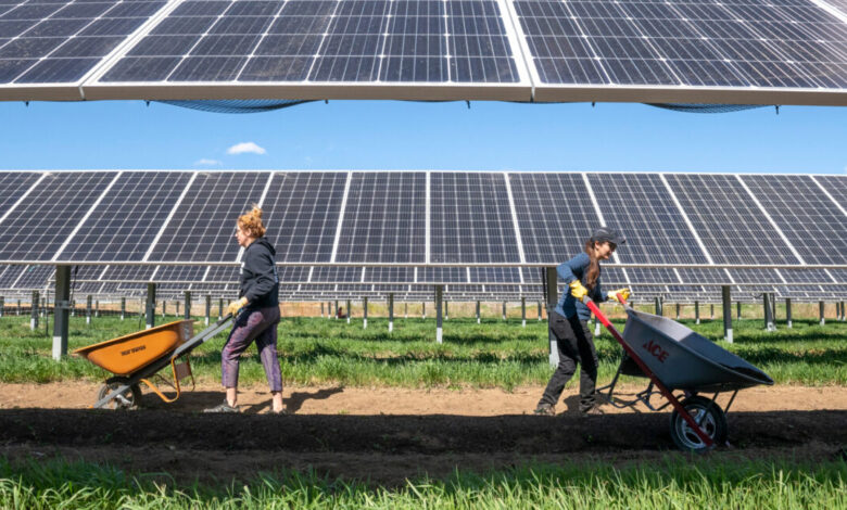 In the Southwest, solar panels can help both photovoltaics and crops