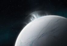 The Structure of Ice in Space Is Neither Order nor Chaos—It’s Both