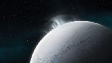 The Structure of Ice in Space Is Neither Order nor Chaos—It’s Both