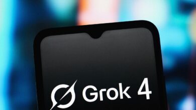 I Tried Grok’s Built-In Anime Companion and It Called Me a Twat