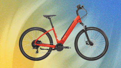 How to Buy an Electric Bike (2025): Classes, Range, Repairs
