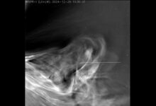 These are the closest-ever images of the sun from Parker Solar Probe’s historic flyby