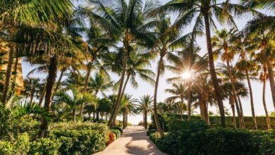 Best Internet Providers in Florida