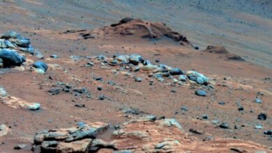 A new Martian climate model suggest a mostly cold, harsh environment