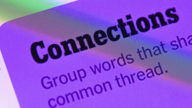 Today’s NYT Connections Hints, Answers for July 13, #763